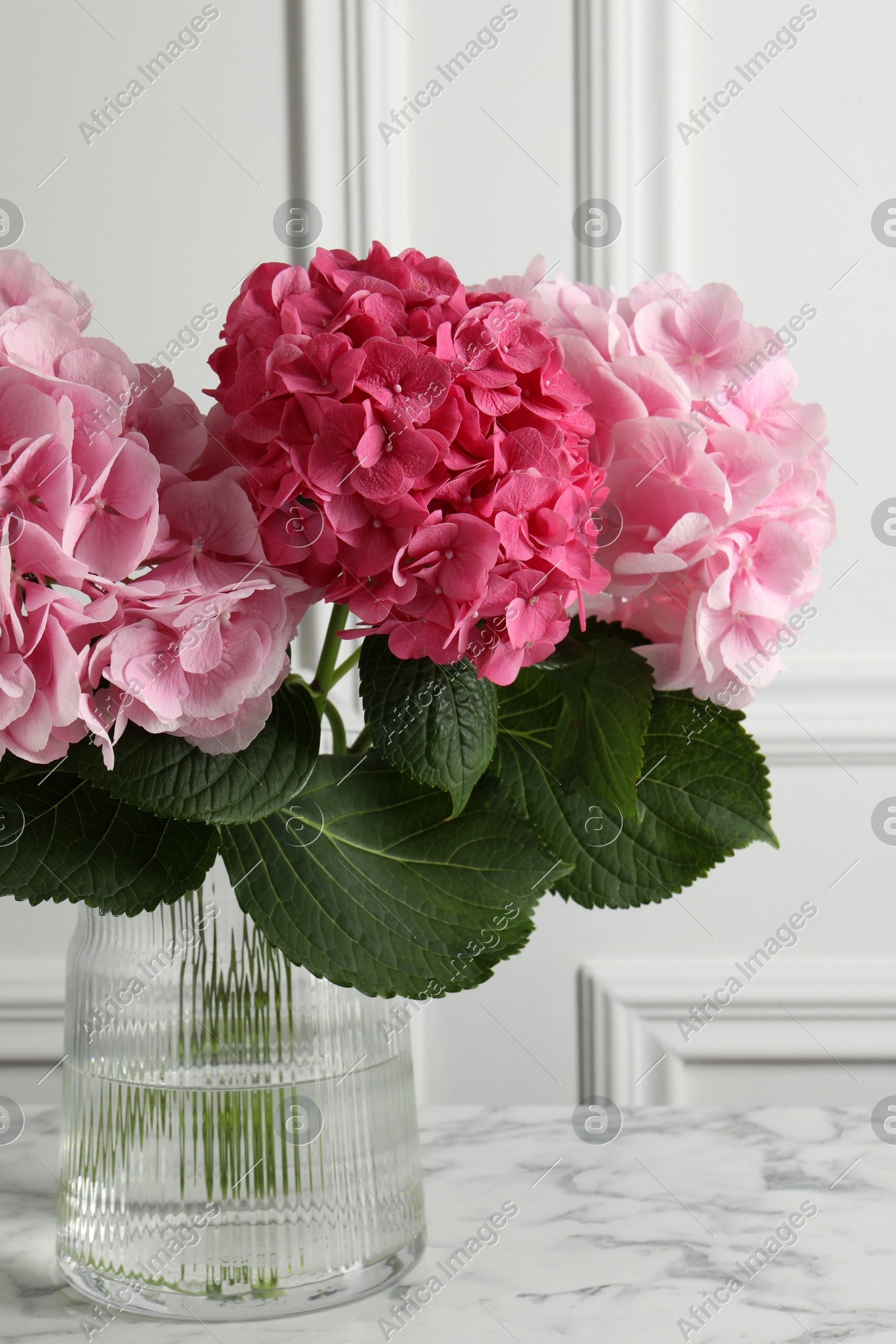 Vase with beautiful hortensia flowers on white marble table Photo of Vase with beautiful hortensia flowers on white marble table