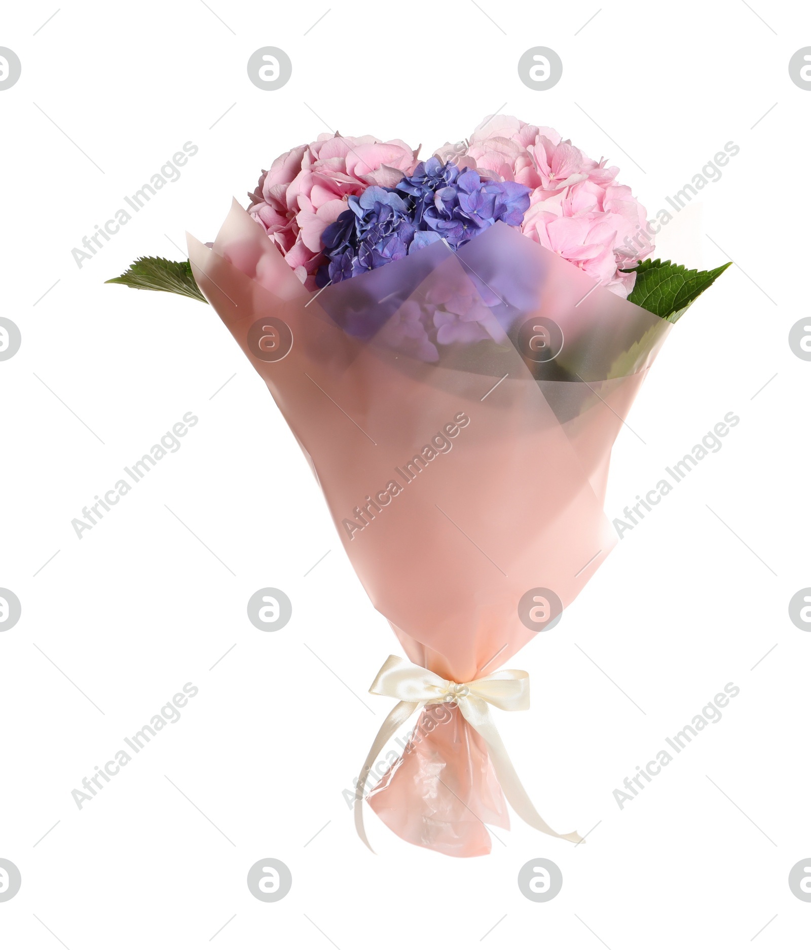 Bouquet with beautiful hortensia flowers isolated on white Photo of Bouquet with beautiful hortensia flowers isolated on white