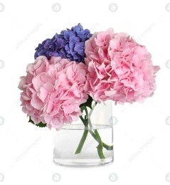Bouquet with beautiful hortensia flowers isolated on white Photo of Bouquet with beautiful hortensia flowers isolated on white