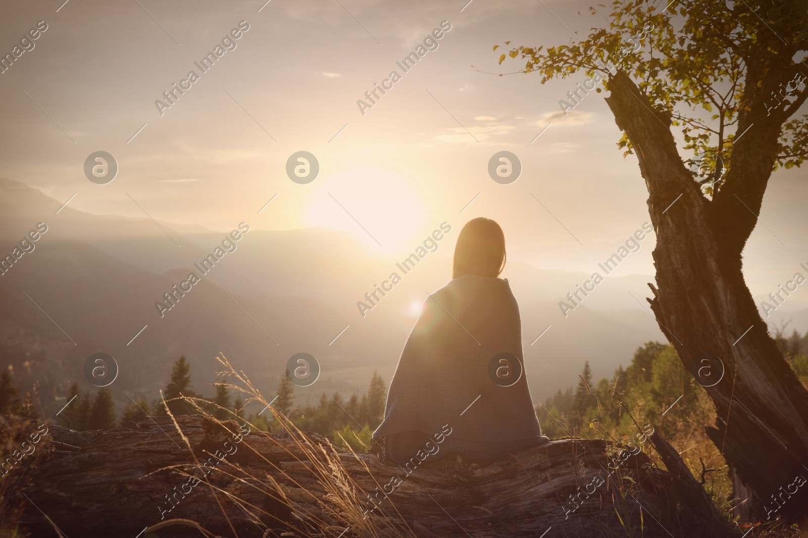 Woman with cozy plaid enjoying sunset in mountains, back view Photo of Woman with cozy plaid enjoying sunset in mountains, back view