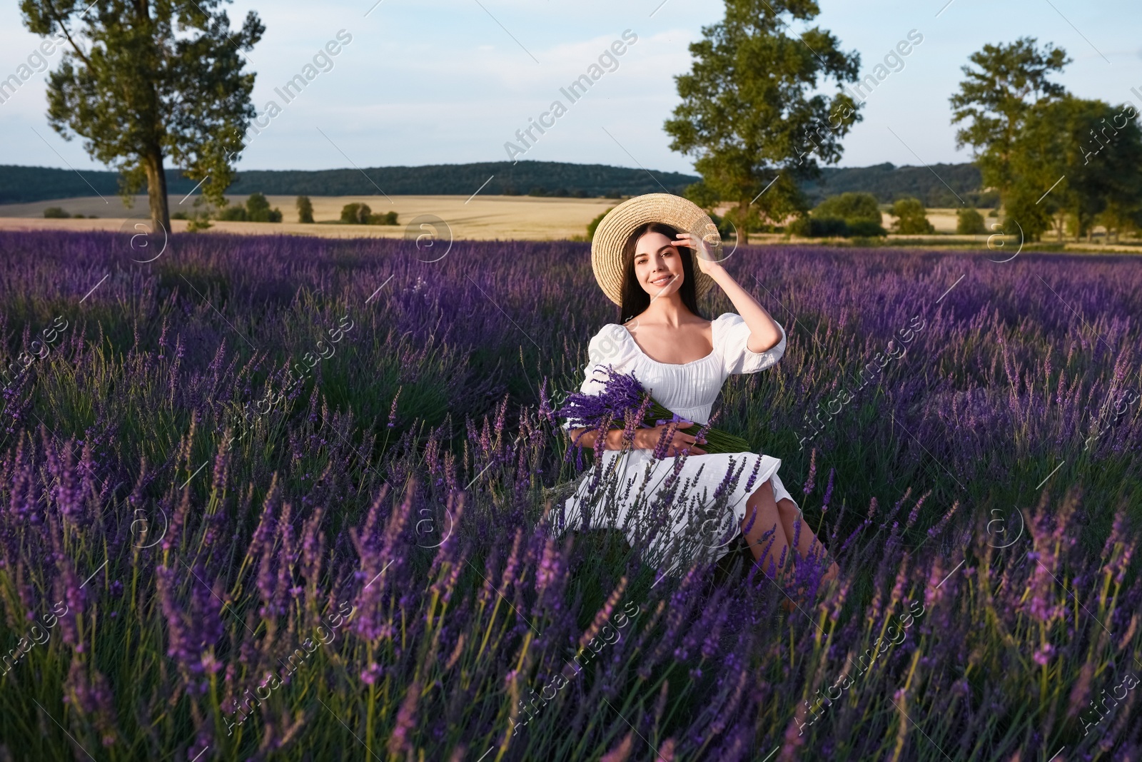 Beautiful young woman sitting in lavender field at sunset Photo of Beautiful young woman sitting in lavender field at sunset