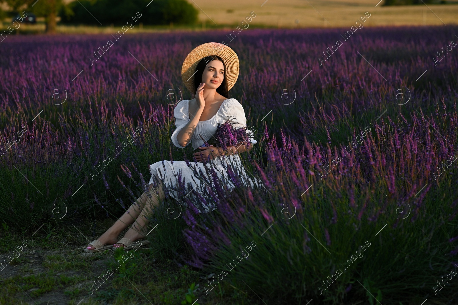 Beautiful young woman with bouquet sitting in lavender field at sunset Photo of Beautiful young woman with bouquet sitting in lavender field at sunset