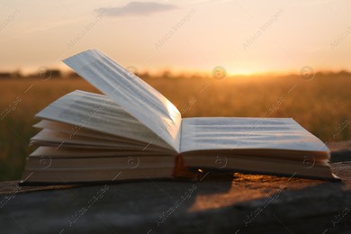 Open book on wooden bench in field at sunset, closeup Photo of Open book on wooden bench in field at sunset, closeup