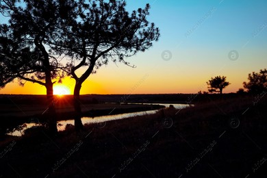 Picturesque view of tree near river at sunset Photo of Picturesque view of tree near river at sunset