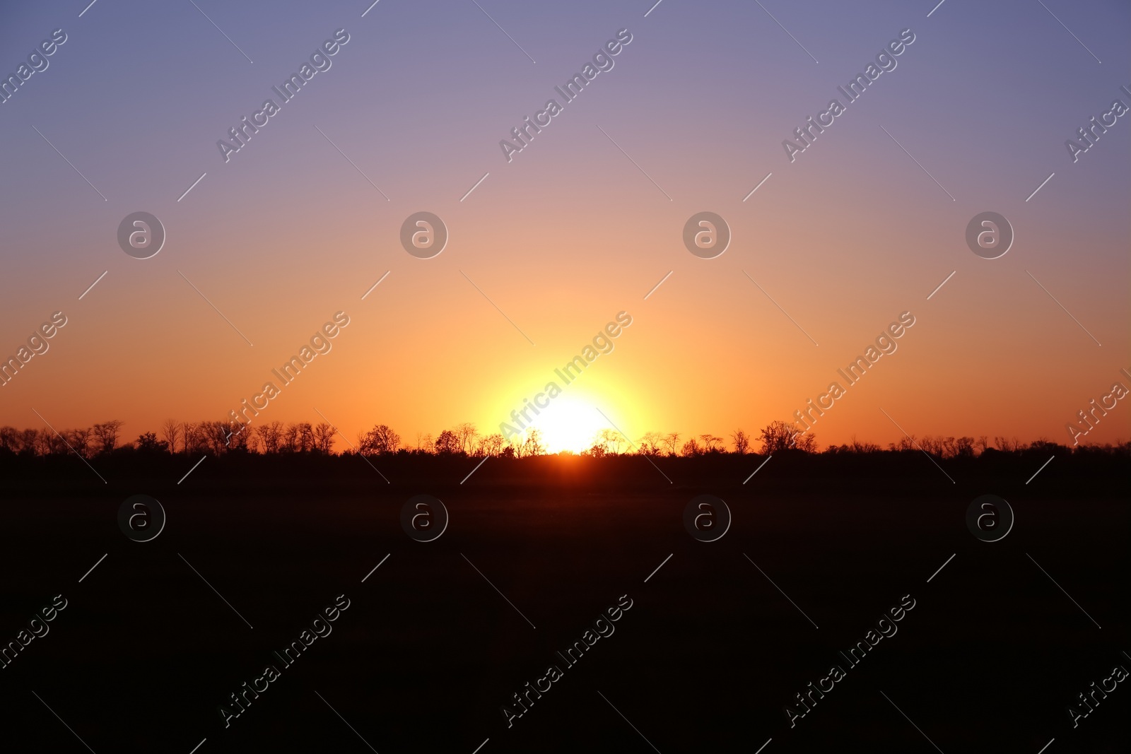 Beautiful view on field during sunset. Picturesque landscape Photo of Beautiful view on field during sunset. Picturesque landscape