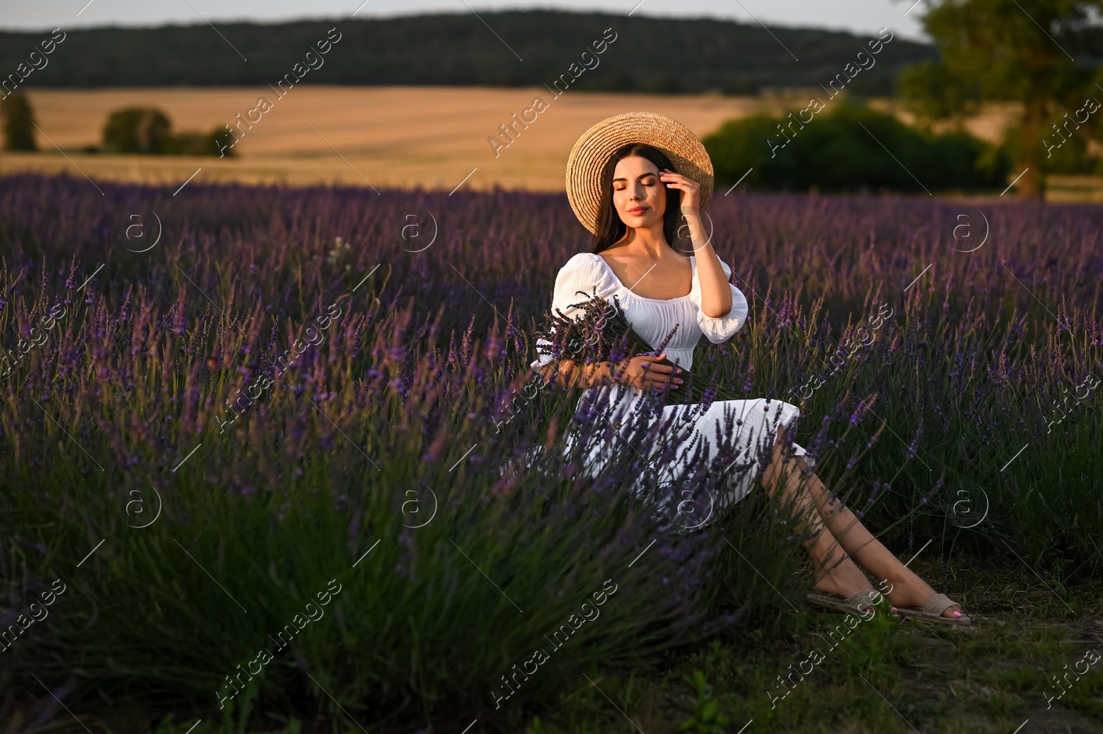 Beautiful young woman with bouquet sitting in lavender field at sunset Photo of Beautiful young woman with bouquet sitting in lavender field at sunset