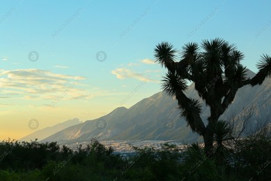 Picturesque view of beautiful mountain landscape on sunset Photo of Picturesque view of beautiful mountain landscape on sunset