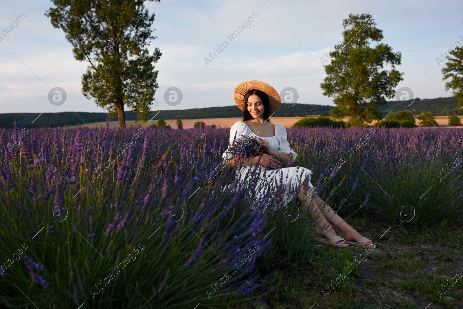 Beautiful young woman sitting in lavender field at sunset Photo of Beautiful young woman sitting in lavender field at sunset