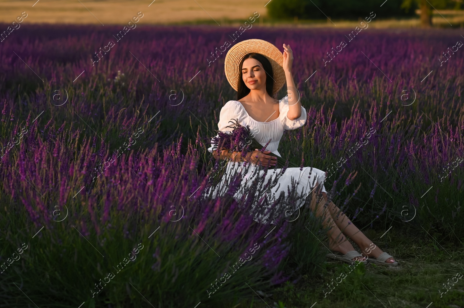 Beautiful young woman with bouquet sitting in lavender field at sunset Photo of Beautiful young woman with bouquet sitting in lavender field at sunset