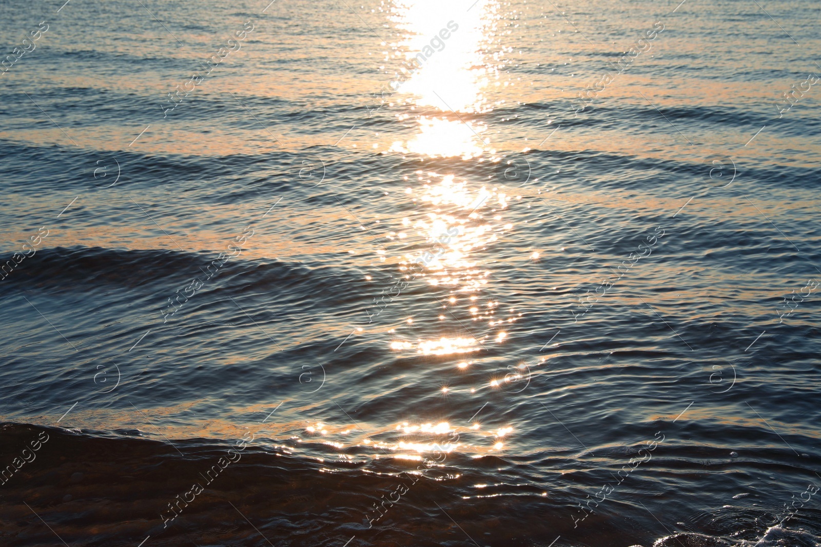 Rippled surface of sea at sunset as background Photo of Rippled surface of sea at sunset as background