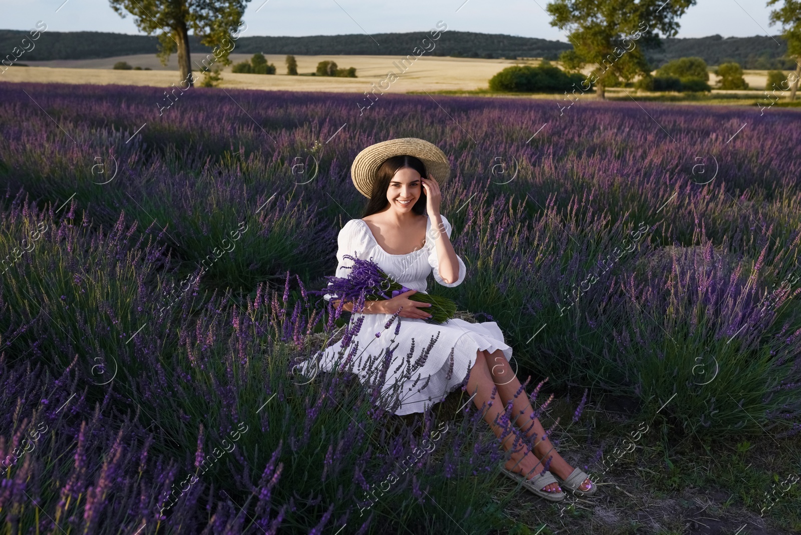 Beautiful young woman sitting in lavender field at sunset Photo of Beautiful young woman sitting in lavender field at sunset