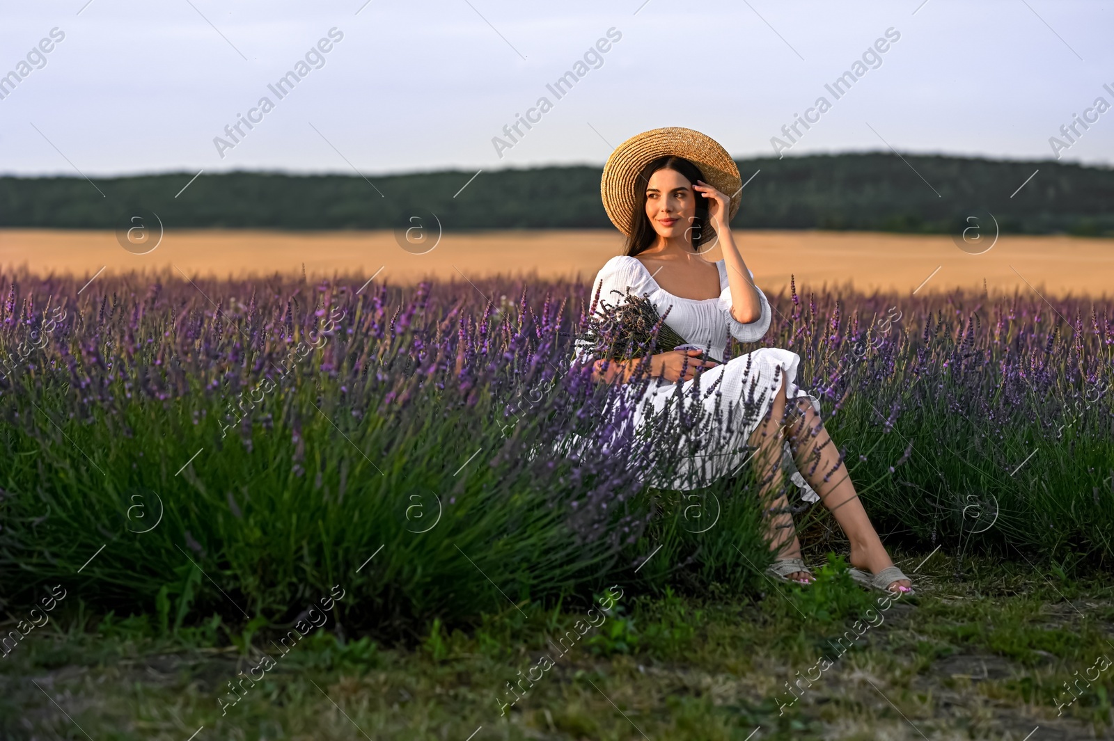 Beautiful young woman with bouquet sitting in lavender field at sunset Photo of Beautiful young woman with bouquet sitting in lavender field at sunset