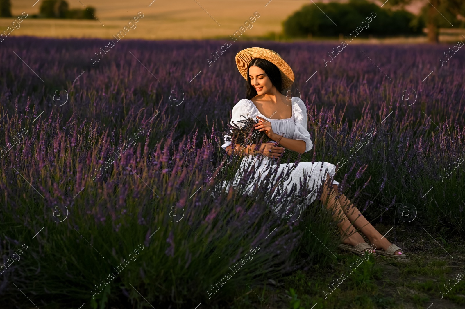 Beautiful young woman with bouquet sitting in lavender field at sunset Photo of Beautiful young woman with bouquet sitting in lavender field at sunset