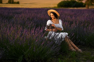 Beautiful young woman with bouquet sitting in lavender field at sunset Photo of Beautiful young woman with bouquet sitting in lavender field at sunset