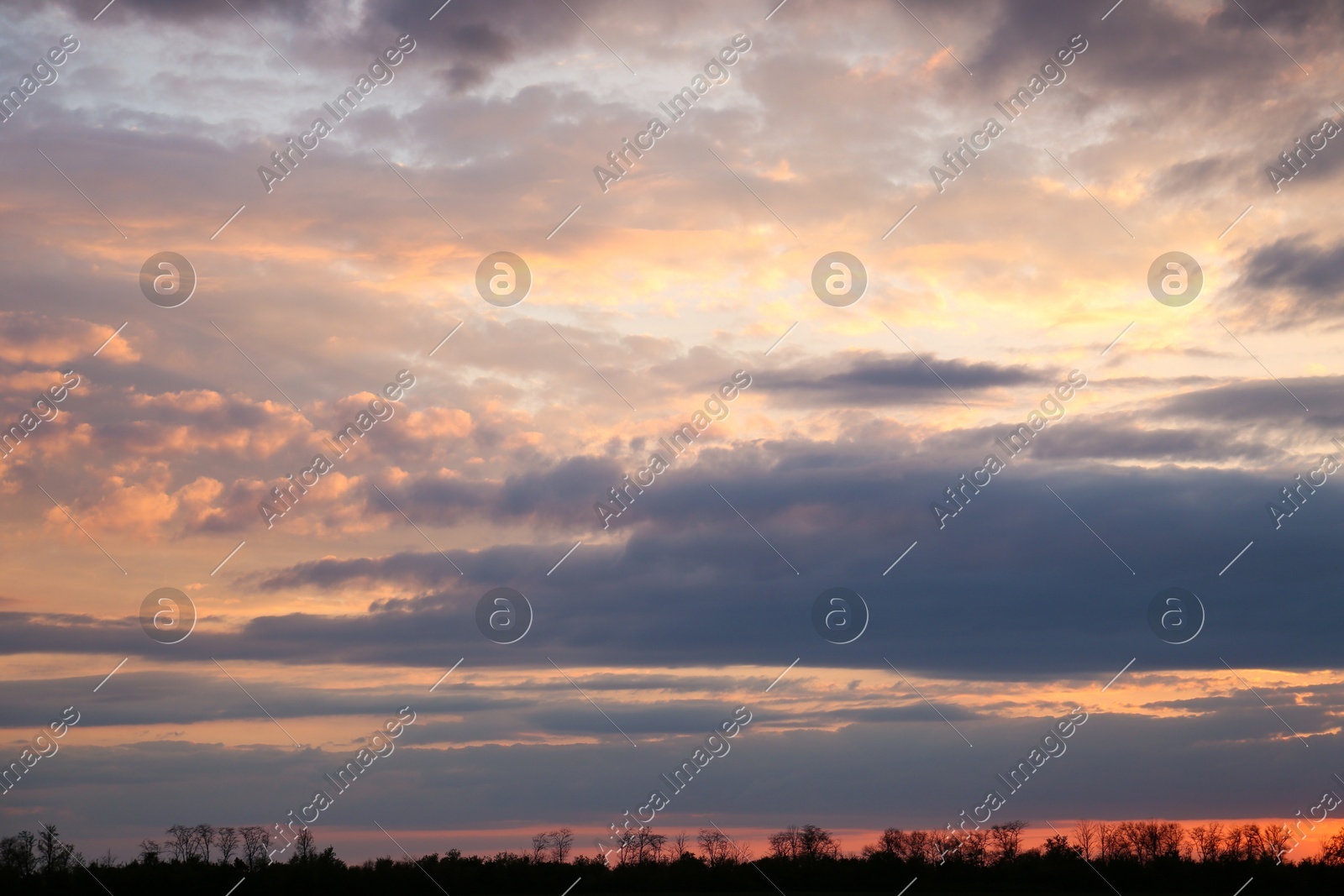 Picturesque view of beautiful countryside at sunset Photo of Picturesque view of beautiful countryside at sunset