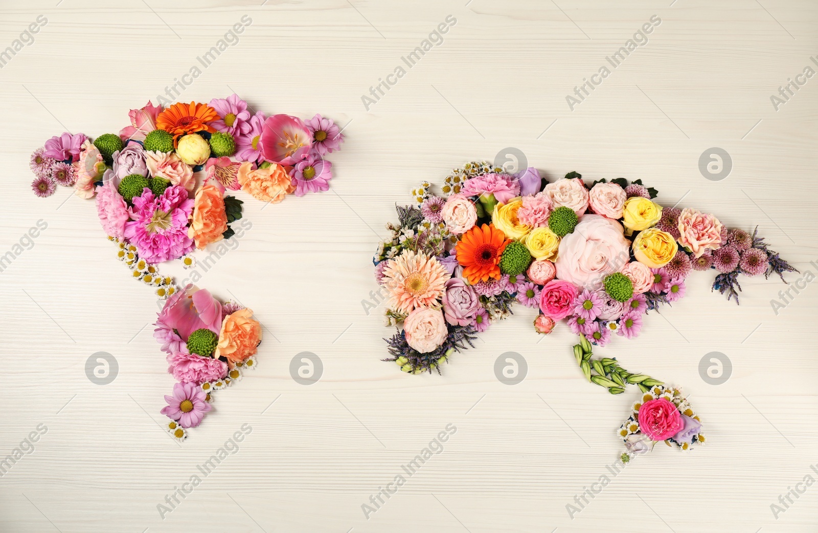 World map made of different beautiful flowers on light wooden table, flat lay Photo of World map made of different beautiful flowers on light wooden table, flat lay