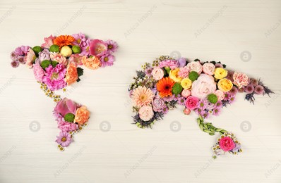 World map made of different beautiful flowers on light wooden table, flat lay Photo of World map made of different beautiful flowers on light wooden table, flat lay