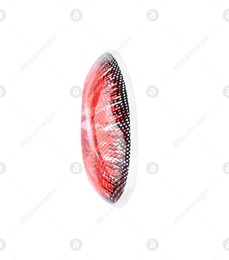 One red contact lens isolated on white Photo of One red contact lens isolated on white