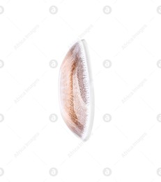One color contact lens isolated on white Photo of One color contact lens isolated on white