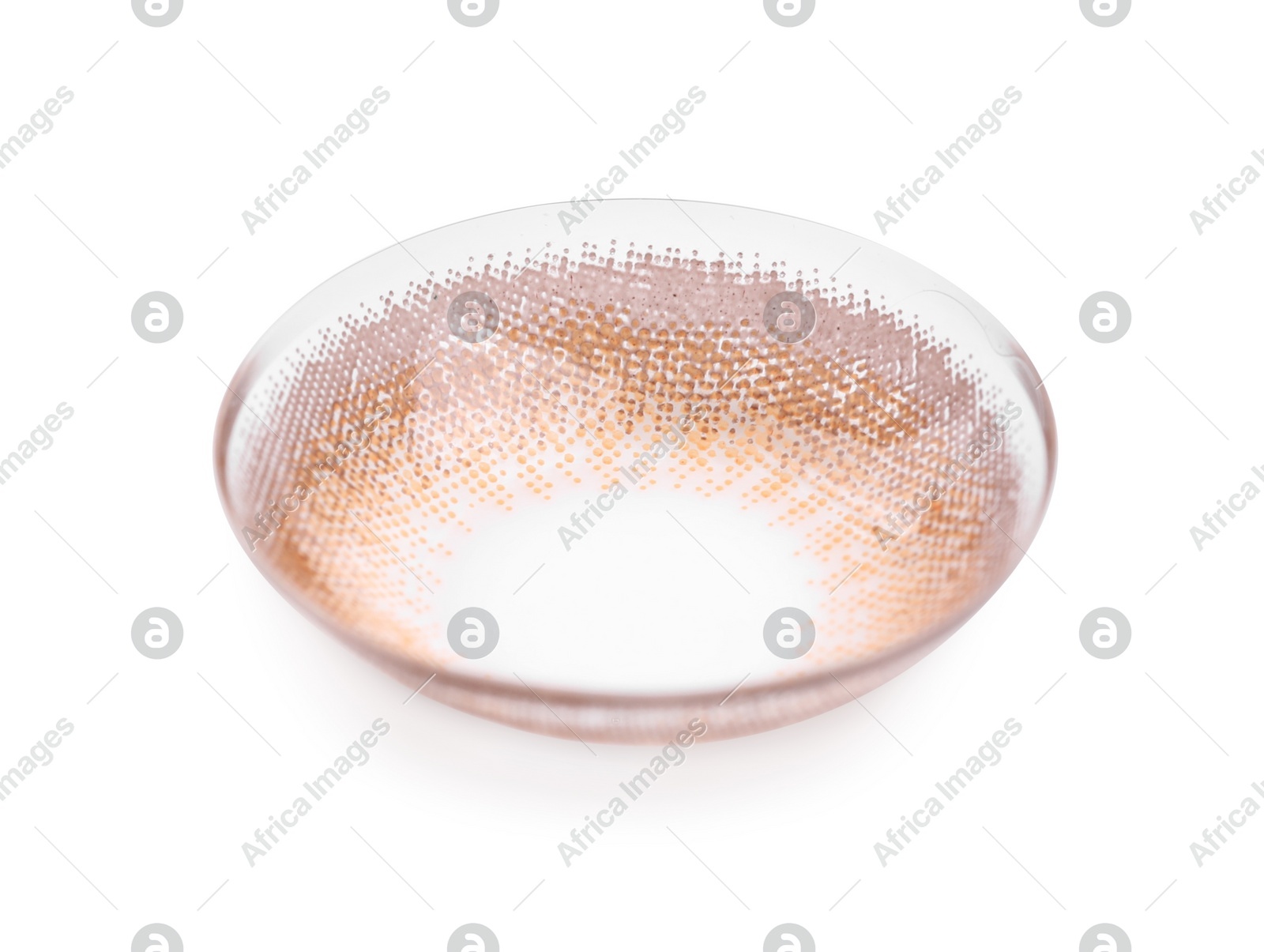 One color contact lens isolated on white Photo of One color contact lens isolated on white