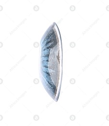 One blue contact lens isolated on white Photo of One blue contact lens isolated on white