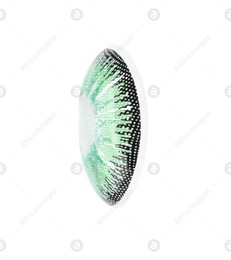 One green contact lens isolated on white Photo of One green contact lens isolated on white