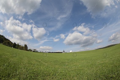 Beautiful lawn with green grass growing under blue sky. Fisheye lens Photo of Beautiful lawn with green grass growing under blue sky. Fisheye lens