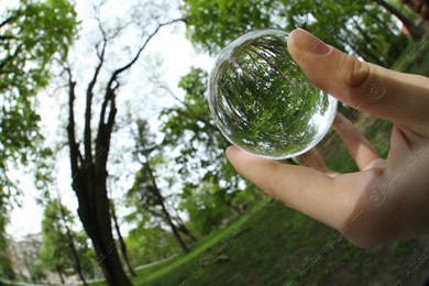 Beautiful green trees outdoors, overturned reflection. Man holding crystal ball in park, closeup. Wide-angle lens Photo of Beautiful green trees outdoors, overturned reflection. Man holding crystal ball in park, closeup. Wide-angle lens