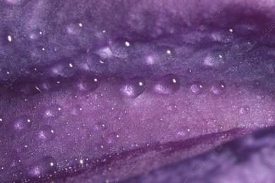 Beautiful purple Clematis flower with water drops as background, macro view Photo of Beautiful purple Clematis flower with water drops as background, macro view