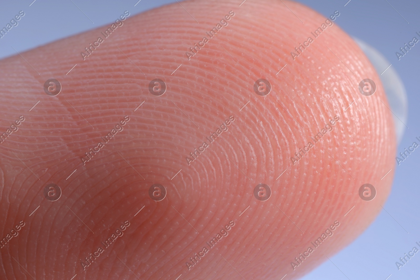 Macro view of finger with friction ridges Photo of Macro view of finger with friction ridges