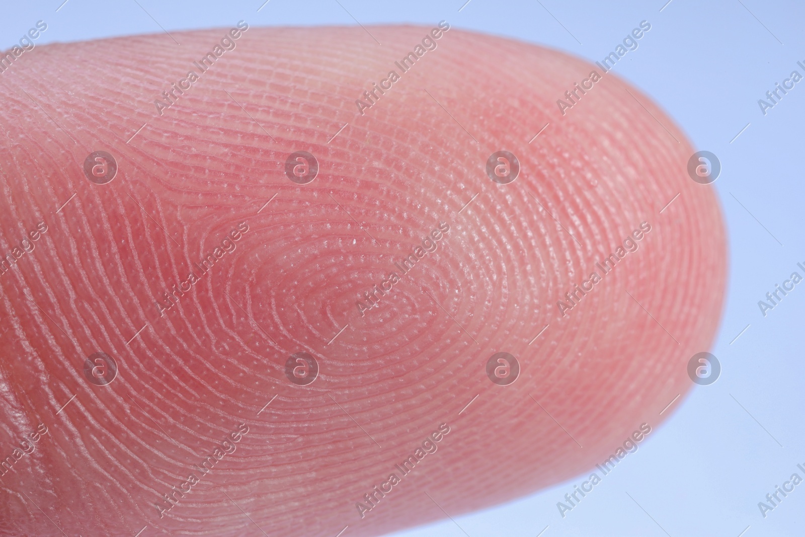 Finger with friction ridges on light blue background, macro view Photo of Finger with friction ridges on light blue background, macro view