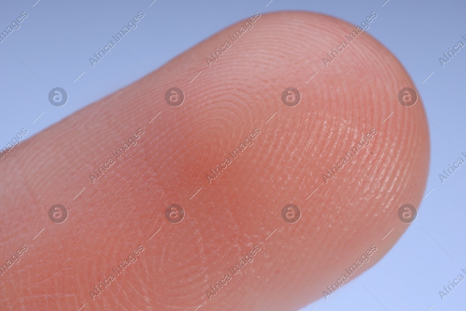Finger with friction ridges on light blue background, macro view Photo of Finger with friction ridges on light blue background, macro view