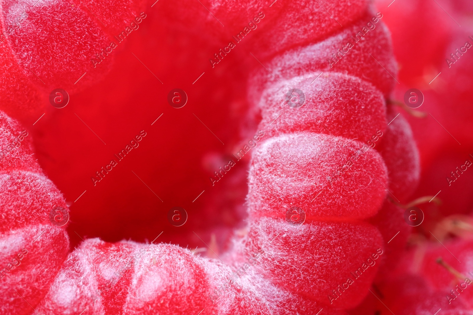 Texture of fresh ripe raspberry, macro view Photo of Texture of fresh ripe raspberry, macro view