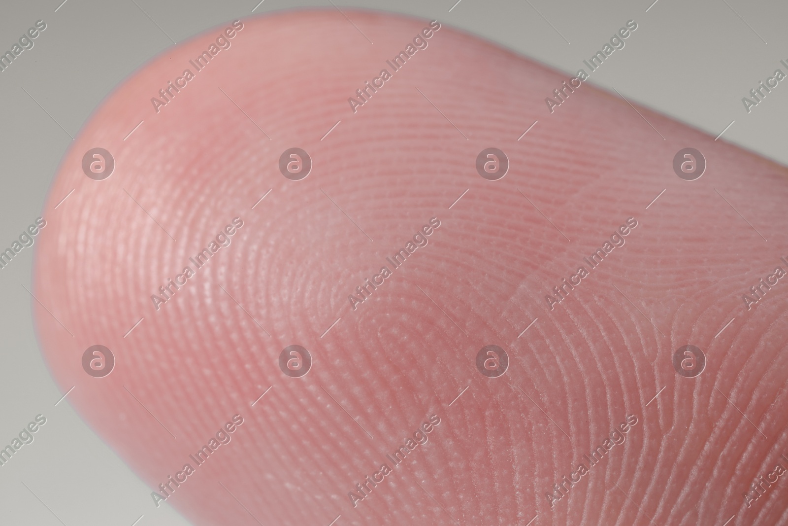 Finger with friction ridges on light blue background, macro view Photo of Finger with friction ridges on light blue background, macro view