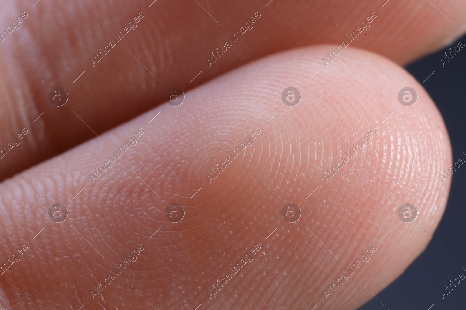Macro view of finger with friction ridges Photo of Macro view of finger with friction ridges