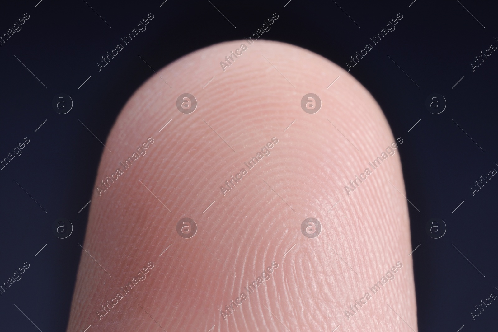 Finger with friction ridges on dark background, macro view Photo of Finger with friction ridges on dark background, macro view