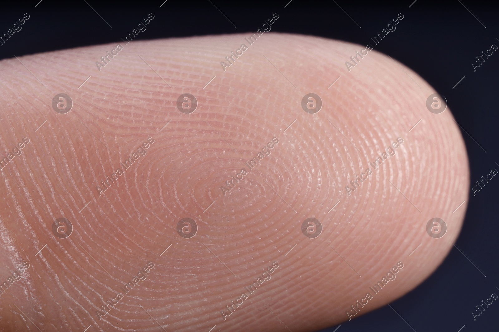 Finger with friction ridges on dark background, macro view Photo of Finger with friction ridges on dark background, macro view
