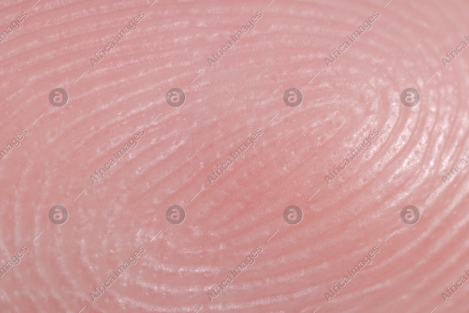 Friction ridges on finger as background, macro view Photo of Friction ridges on finger as background, macro view