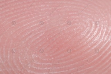 Friction ridges on finger as background, macro view Photo of Friction ridges on finger as background, macro view