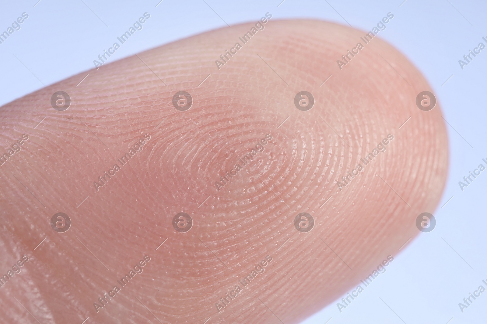Finger with friction ridges on light blue background, macro view Photo of Finger with friction ridges on light blue background, macro view