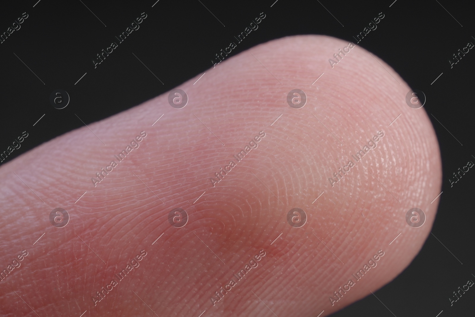 Finger with friction ridges on dark background, macro view Photo of Finger with friction ridges on dark background, macro view