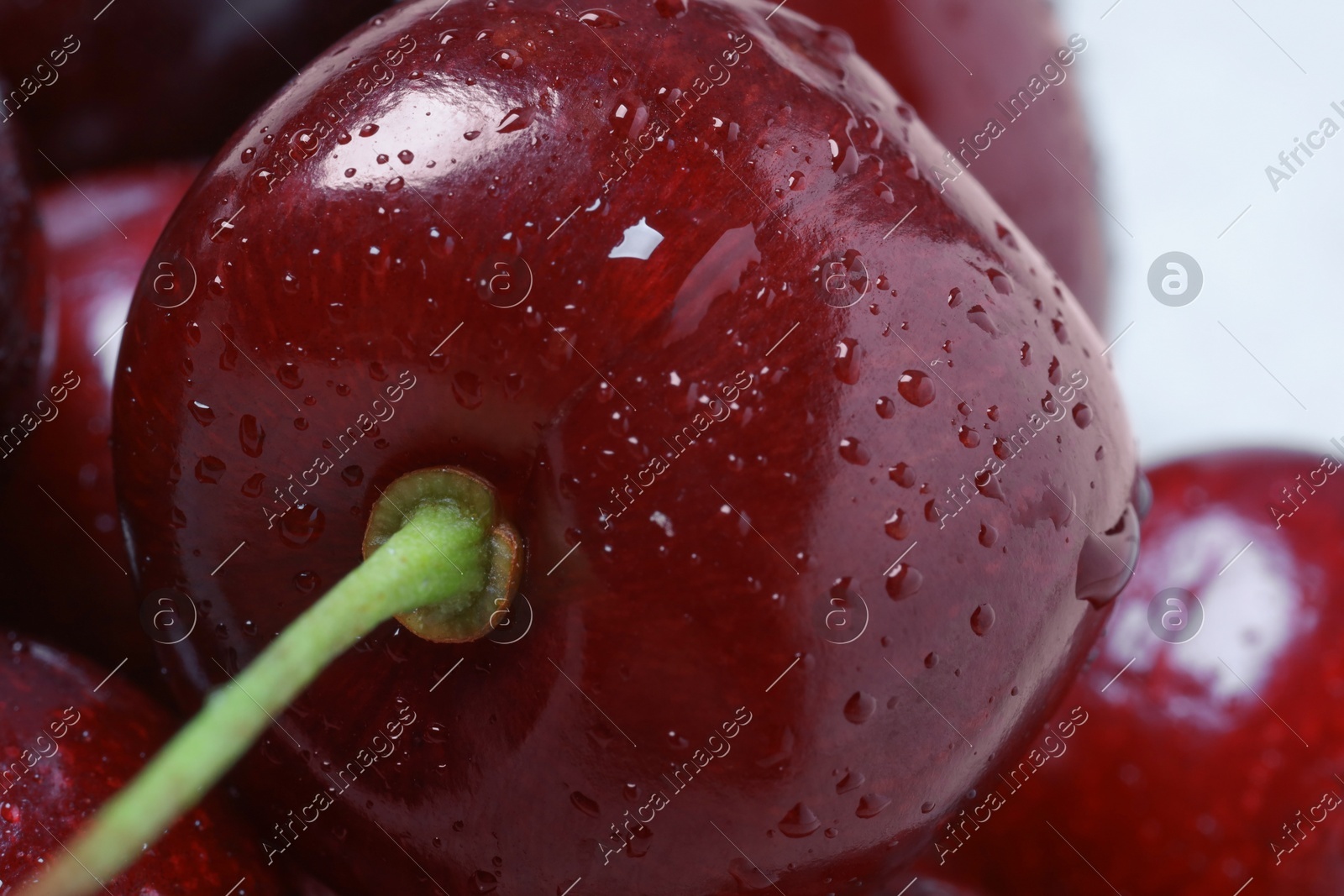 Ripe cherries with water drops as background, macro view. Fresh berry Photo of Ripe cherries with water drops as background, macro view. Fresh berry