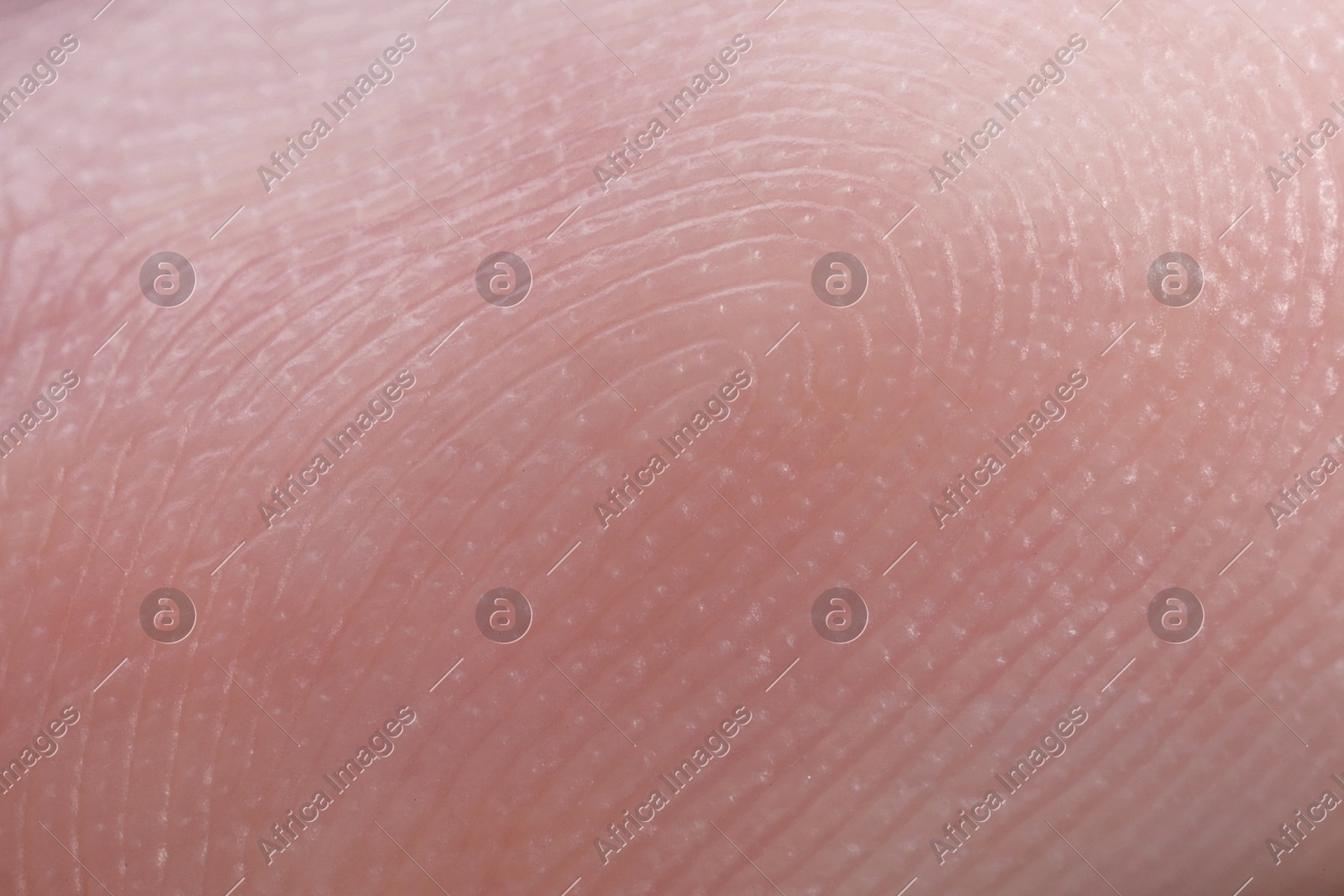 Friction ridges on finger as background, macro view Photo of Friction ridges on finger as background, macro view