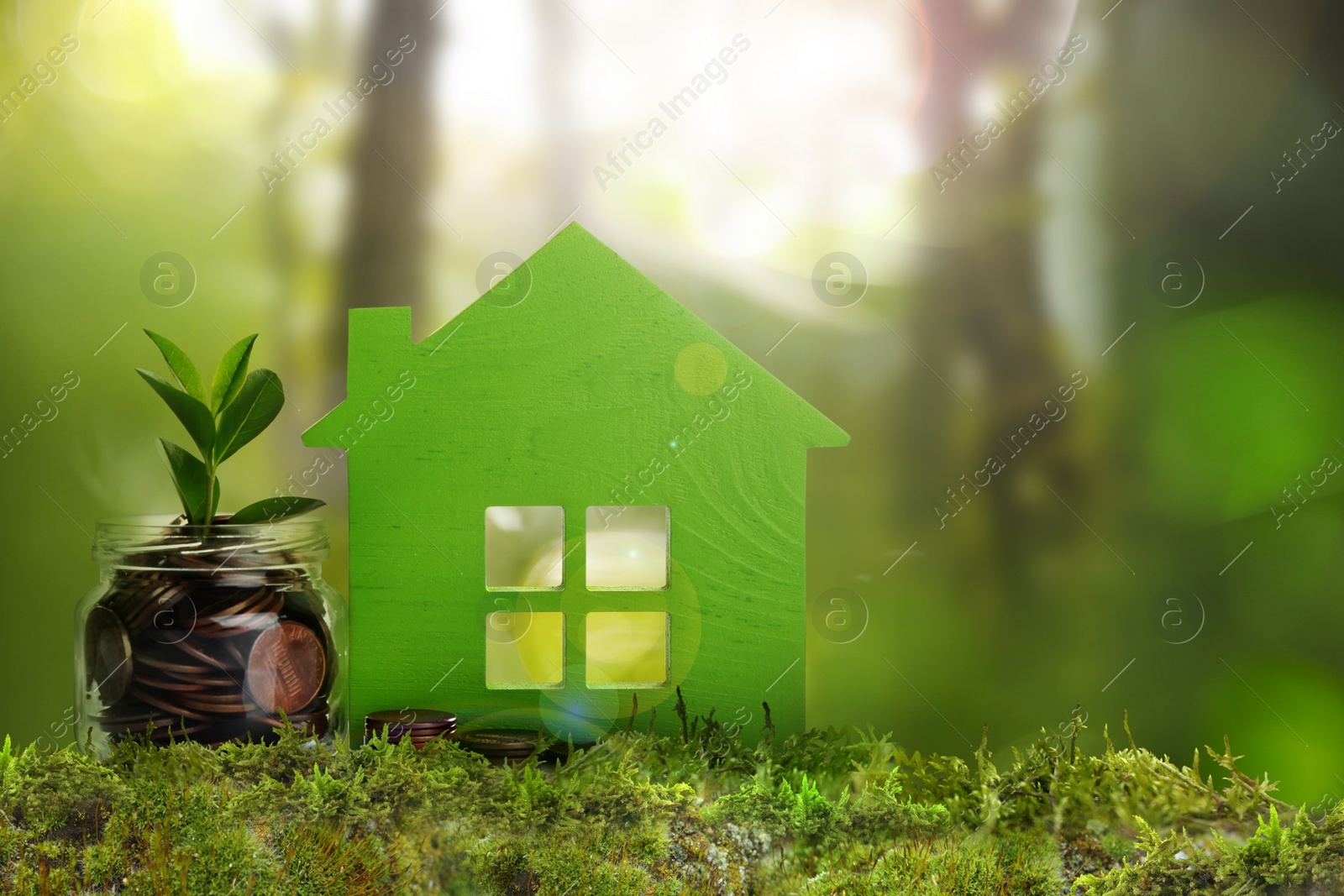 Eco friendly home. House model and jar with coins on green grass outdoors Image of Eco friendly home. House model and jar with coins on green grass outdoors