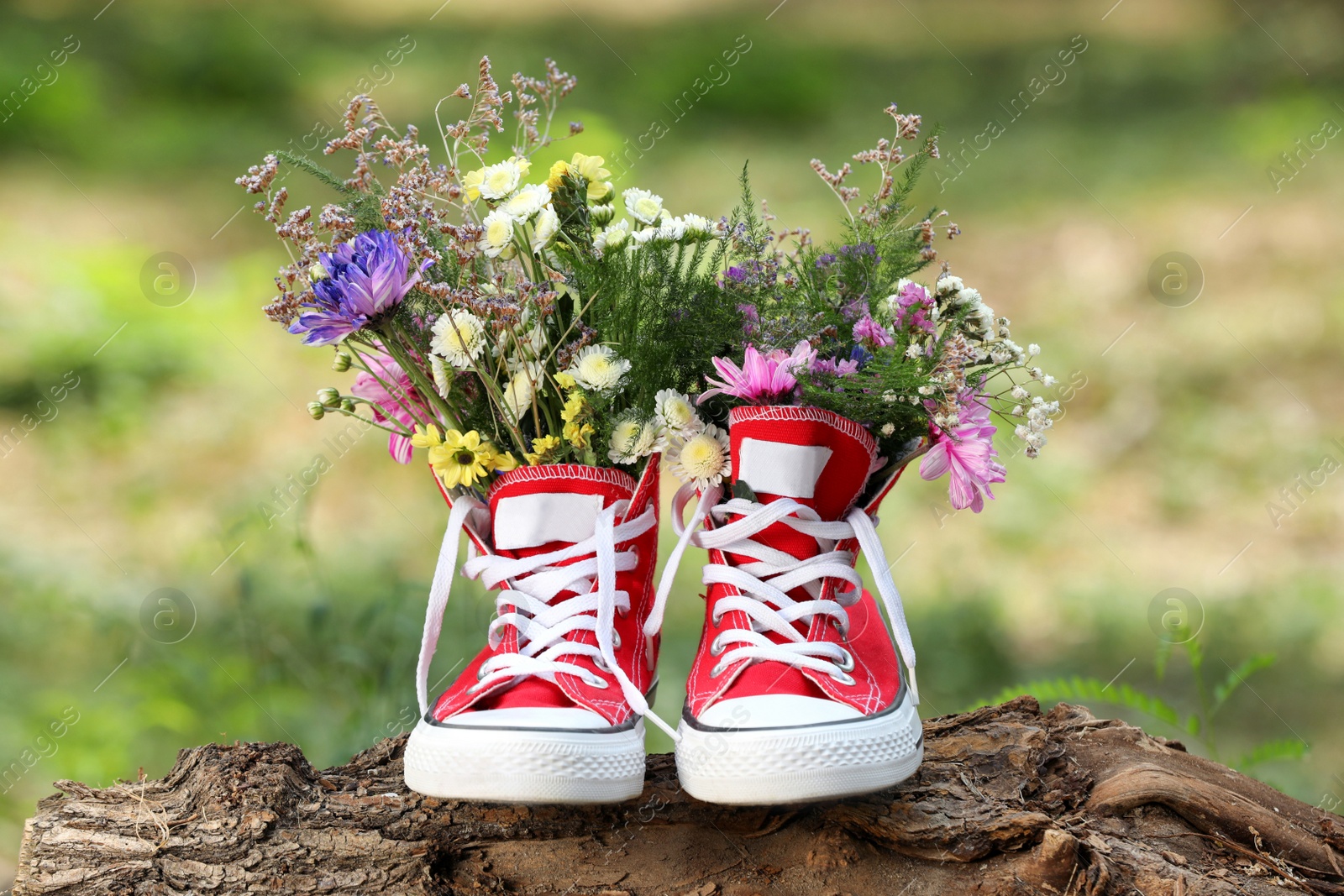 Beautiful flowers in shoes on log outdoors Photo of Beautiful flowers in shoes on log outdoors
