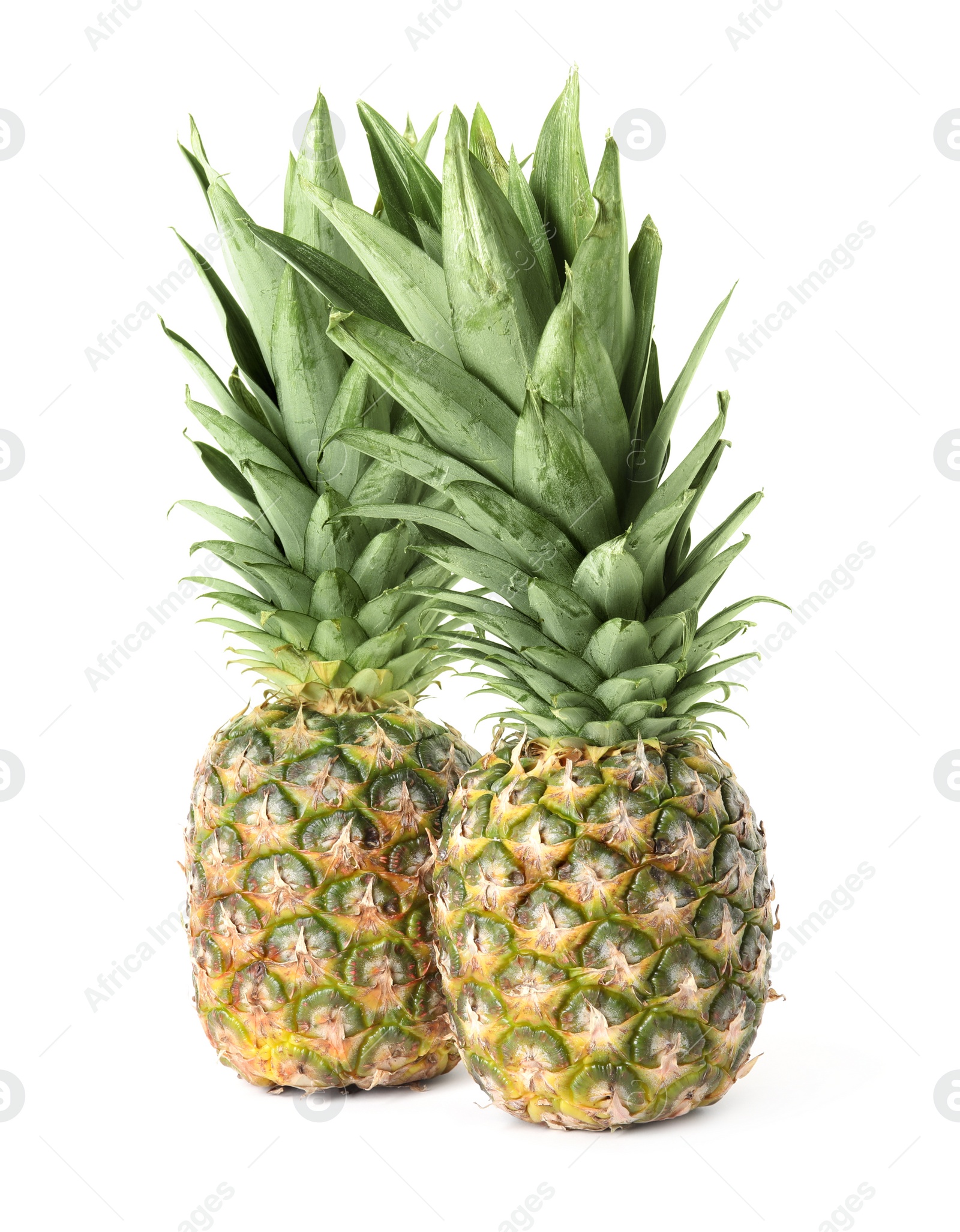Fresh ripe juicy pineapples isolated on white Photo of Fresh ripe juicy pineapples isolated on white