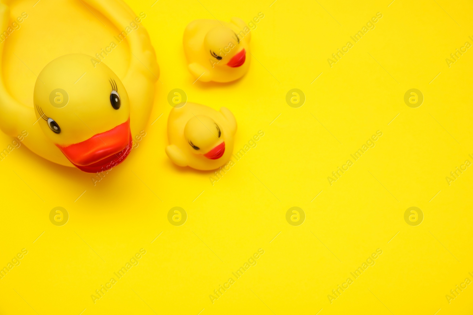 Rubber toy ducks on yellow background, flat lay. Space for text Photo of Rubber toy ducks on yellow background, flat lay. Space for text