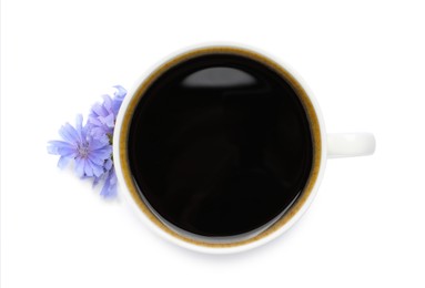 Cup of delicious chicory drink and flowers on white background, top view Photo of Cup of delicious chicory drink and flowers on white background, top view