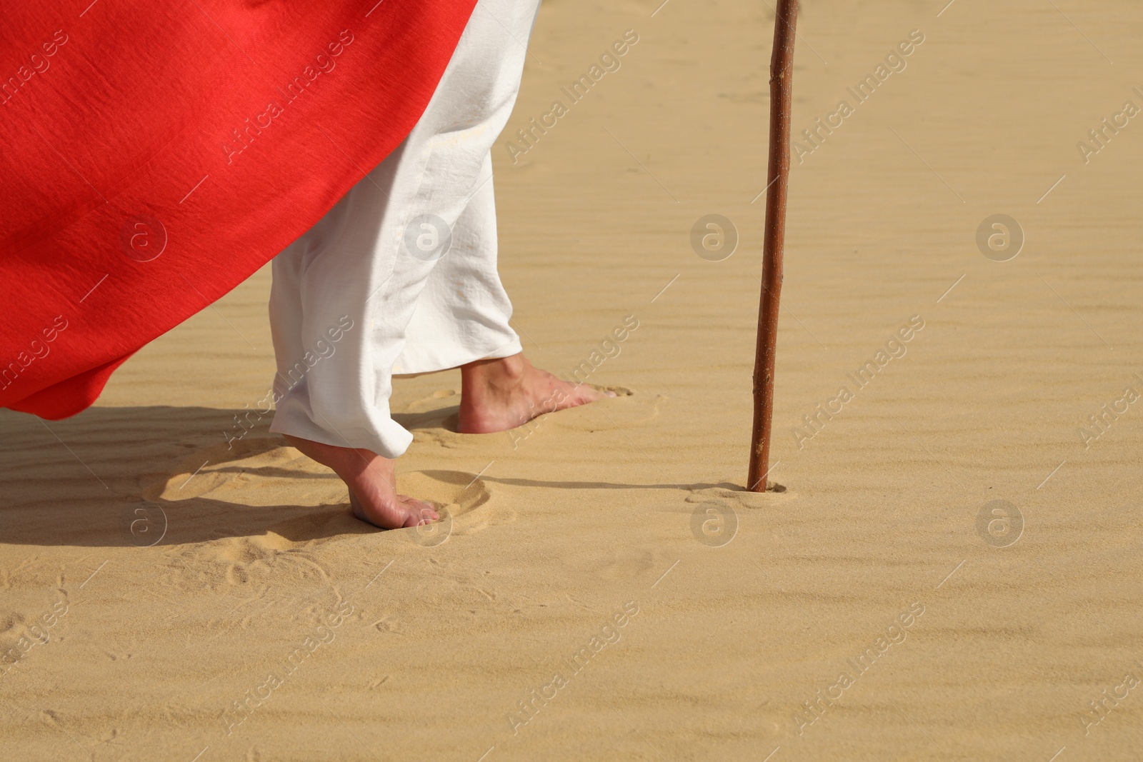 Photo of Jesus Christ walking in desert, closeup view