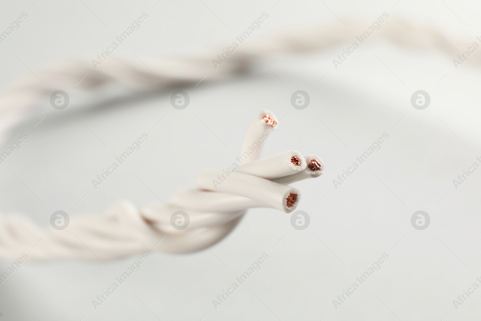 Closeup view of electrical power cables on white background Photo of Closeup view of electrical power cables on white background
